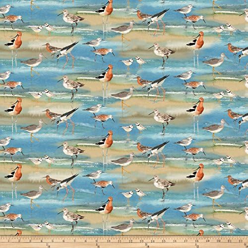 Shore Thing Shore Birds On Beach Blue Northcott Cotton Fabric 22070-42