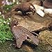 Achla Designs DOV-01 Pair Garden Animal Statuary Ornament Dove Bird, Antiqued Bronze