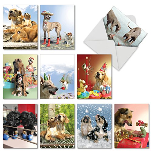 UPC 745469033892, M6546TYG Puppy Love: 10 Assorted Thank You Note Cards Featuring Oh So Adorable Canines Enjoying Fun and Frolic with Their BFFs, w/White Envelopes.