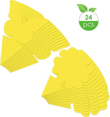 Insetti Volanti Come Moscerini Afidi Farfalle Trappola Per Mosche E Moscerini Con Frutta Appiccicosa Da 24 Confezioni Trappole Per Insetti Appiccicosi Gialli Per Uso Interno Esterno Helloxpart Com
