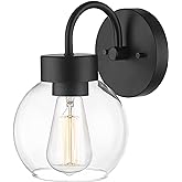 EAPUDUN 1-Light Matte Black Bathroom Light Fixtures Over Mirror, Vanity Lights with 1 Globe Clear Glass Shades, Industrial St