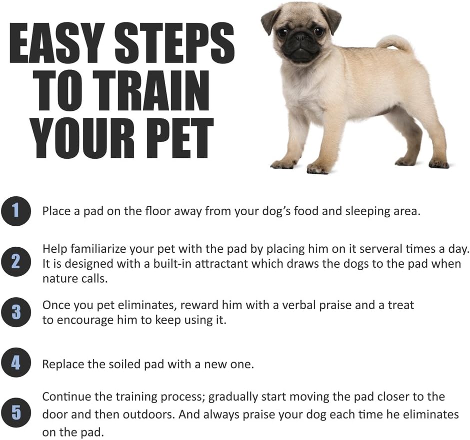 BV Pet Potty Training Pads for Dogs, Puppy Training Pads, 22" x 22", 100-Count : Pet Supplies