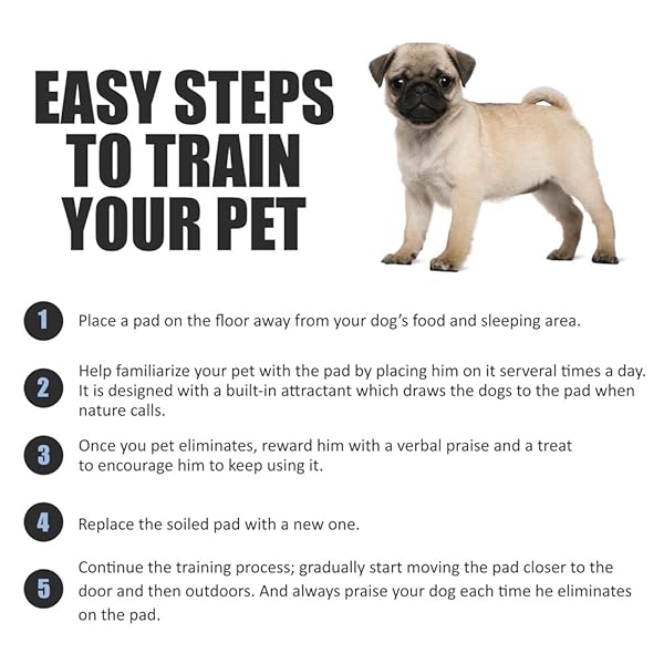 BV PUPPY PADS LEAK-PROOF 100 COUNT 22″X 22″ – ABSORBENT PEE PADS FOR DOGS WITH 6-LAYER DESIGN, RAPID DRY SHEET & BUILT-IN ATTRACTANT – DOG PAD WITH ODOR CONTROL, PERFECT FOR PUPPIES & SENIOR DOGS