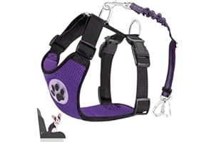 Lukovee Dog Seat Belt - Adjustable Dog Car Harness for Large, Medium & Small Dogs, Soft Padded & Breathable Mesh Dog Seatbelt with Car Vehicle Connector Strap (Purple Double Clip, Medium)