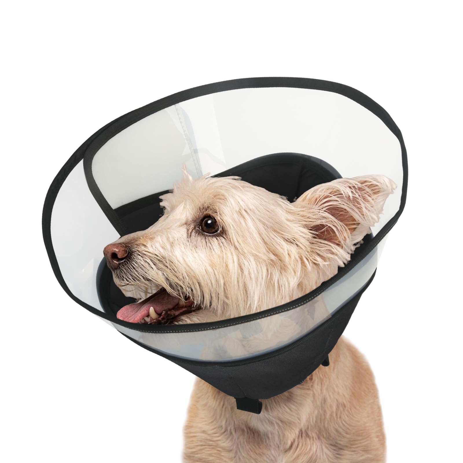 Photo 1 of OEH Dog Cone, Soft Cones for Dogs After Surgery, Comfortable Small Dog Cone Collar, Protective Cone for Dogs to Stop Licking, Black, SM(Neck: 12.0"-14.3”)