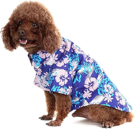 small dog hawaiian shirt
