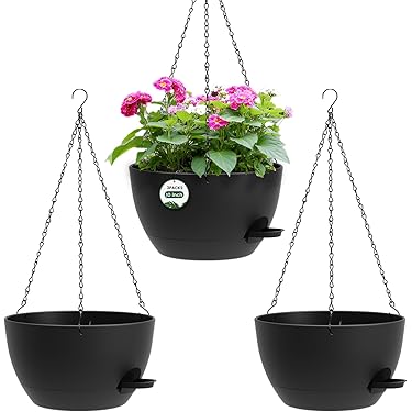 Amazon.com New Releases: The best-selling new & future releases in Hanging  Planters