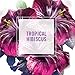 Herbal Essences Tousle Me Softly Tousling Spray Gel 5.7 FL OZ (Packaging may vary)