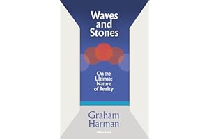 Waves and Stones: On the Ultimate Nature of Reality