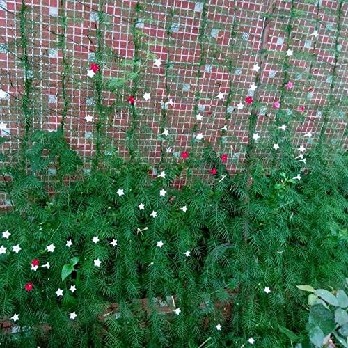 LILACORP : 1.81.8m Garden Millipore Nylon Net Plant Climbing Frame Gardening Net Plant Fence Bird-Preventing Anti-Bird Devices Mesh