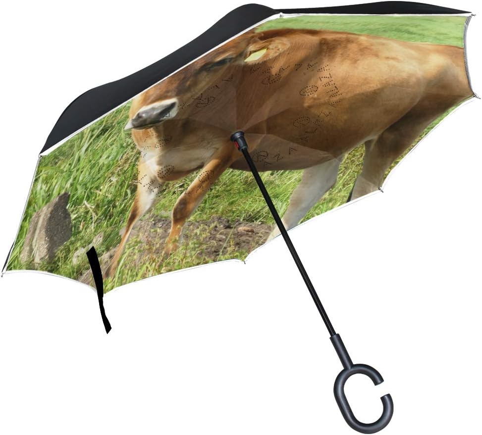 PINLLG Animal Cow Cattle Livestock Inverted Umbrella Double Layer