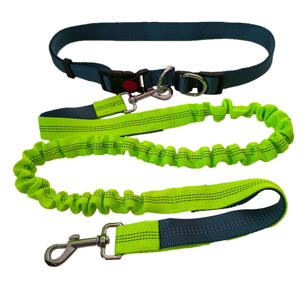 QitinDasen Hands Free Dog Leash, Grey Adjustable Waist Belt and Green Dual-Handle Retractable Bungee Leash, 130 to 180 cm