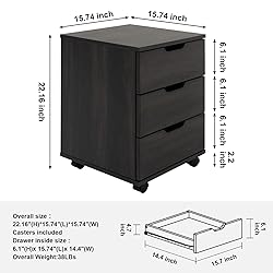 Farini 3-Drawer Vertical Filing Cabinet Rolling