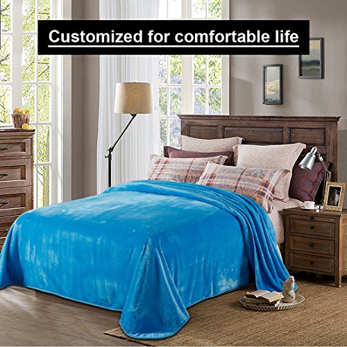 LEISURE TOWN Fleece Blanket Queen Size Soft Summer Cooling Breathable Luxury Plush Travel Camping Blankets Lightweight for Sofa Couch Bed, 90 by 90 Inches, Lake Blue