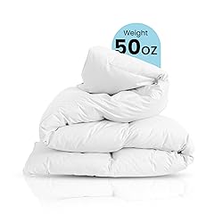 East Coast Bedding Cozy Dream Goose Down and