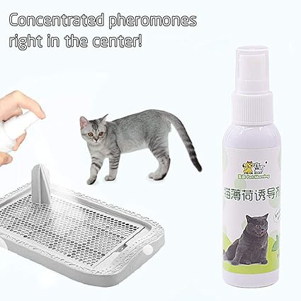 cat potty training spray