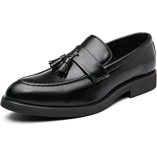 Amazon.com | Cole Haan Men's Original Grand Meridian Tassel