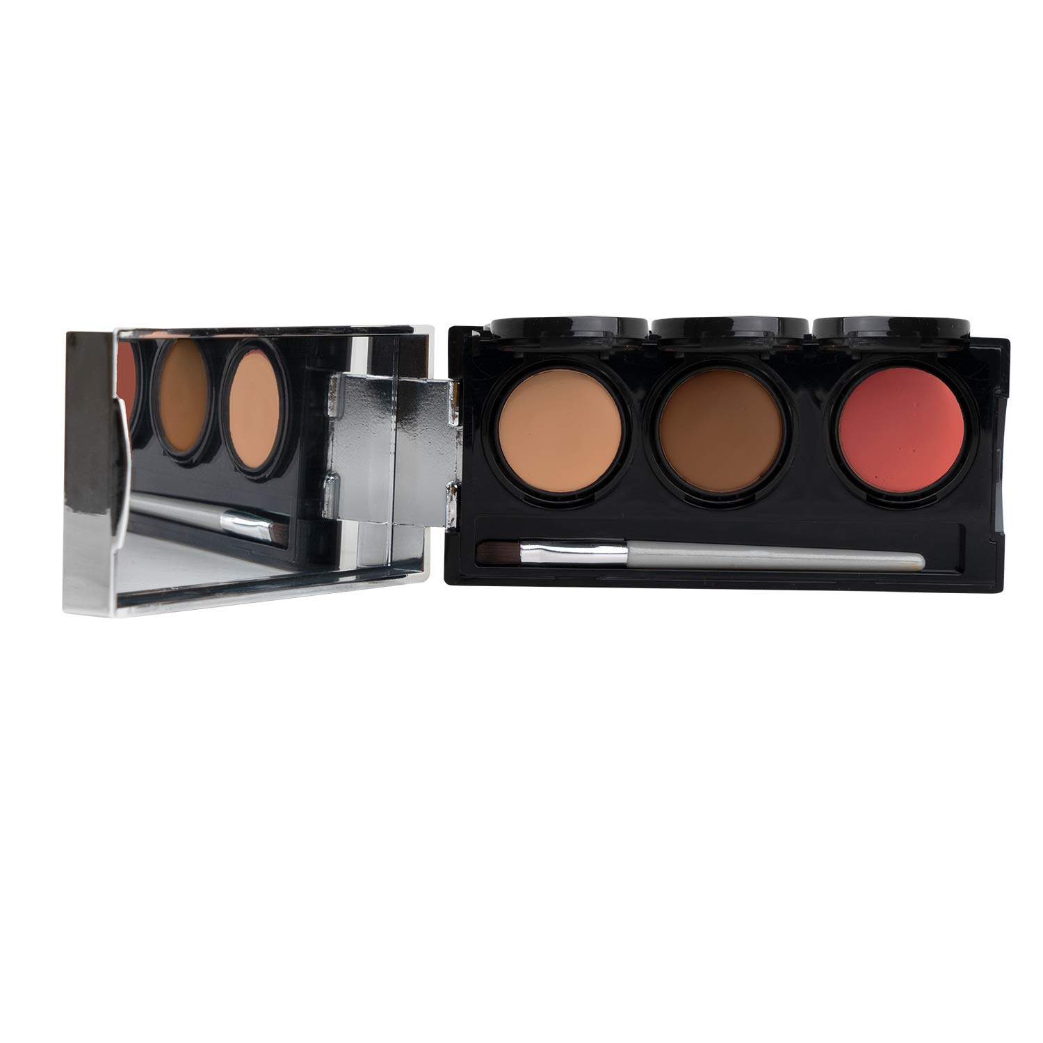 Tattoo Cover Up Makeup, Bruise Concealer, Waterproof, Smudge proof, 3 colors + brush, by Dermaflage, 6.9g/.24oz