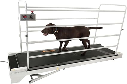 gopet treadmill