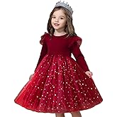 TTYAOVO Little Girls Long Sleeves Casual Birthday Dress with Tutu Skirt