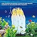 HEEPDD Aquarium Artificial Silicone Sea Anemone Decoration, Simulation Sea Anemone Coral Ornament Fish Tank Silicone Material Luminous Decorations for Freshwater Saltwater Aquarium(Orange)thumb 2