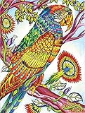 White Mountain Puzzles Parrot Coloring Puzzle  - 300 Piece Jigsaw Puzzle