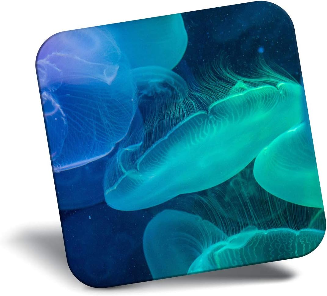 Best Sea Creature Refrigerator Magnets