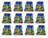 Party Favor - TMNT Ninja Turtles Non Woven Sling Bag X12