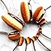 Micup 10 Pcs Professional Oval Makeup Brushes Set Multi-Using Toothbrush Curve Face Cosmetic Brushes (Rose Gold)