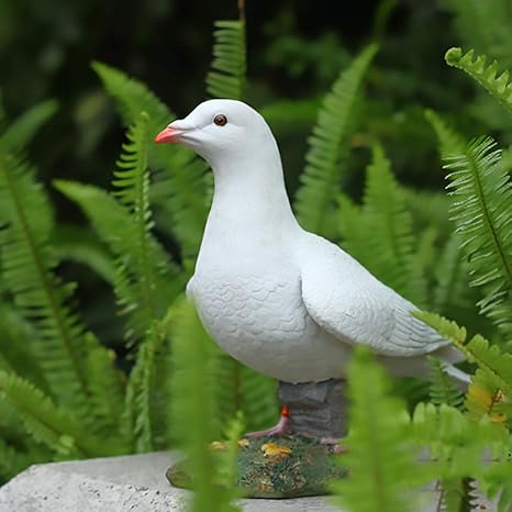 Sculpture De Pigeon Pour Pelouse Piscine Bord De Lac Pigeon Gris Pigeon Blanc Resine Sculpture De Pigeon Pour Decoration De Jardin Hotel Decoration De Jardin Decoration De Jardin Colombe Blanche Amazon Ca Terrasse