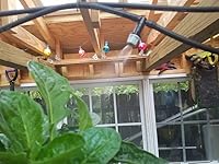 Review Image by EDWARD GRIER EDWARD GRIER