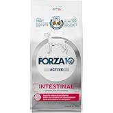 Forza10 - Dog Food, Limited Ingredient Dog Food for Healthy Digestion and Sensitive Stomach, Non-GMO, Fish Flavor, Made in Italy (22 lb)