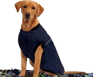 amazon prime dog clothes
