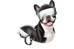 LESYPET Small Dog Helmet, Dog Motorcycle Helmet Drop-Down Silver Lenses for Riding, Windproof Puppy Safety Hat with Ear Hole,