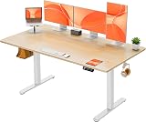 ErGear Electric Standing Desk 160x80cm Sit Stand 4 Memory Panel 80kg