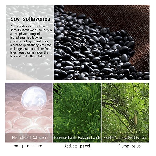 6 Fanmin+Moisturizing+Plumping+Creating+Lipstick