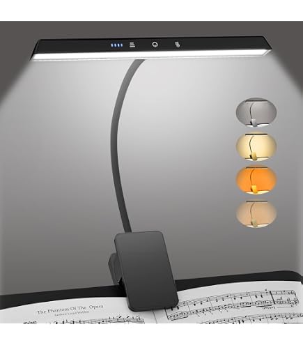 Lampe De Pupitre à Clipser 10 LEDs Rechargeable - Lampe Piano Orchestre Lecture Travail - Col De Cygne 360° USB