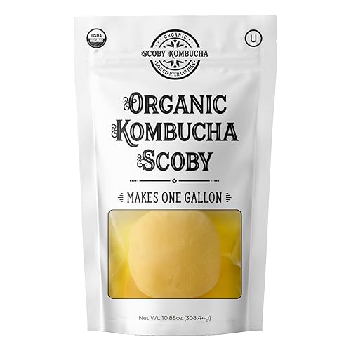 Kombuchaorganic Unique Cultures Scoby Kombucha, 3 Litre, Medium, Certified Organic, Laboratory Tested - View #7