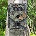 ZenNutt HD Game & Trail Camera 8 MP 720P Low Glow Infrared Night Vision Motion Activated Wildlife Deer Hunting Cameras with Full Color Day Images & IP54 Water Protected Design & Time Stamp