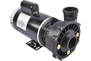 TEKKOAUTO Plastics Executive 56 Frame 4 HP Spa Pump 230-Volt Hot Tubs Black Two-Speed 9600 GPH Maximum Flow Rate 3721621-1D 3