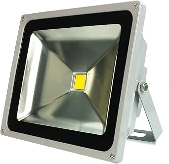 Tanli 50W Blanco Frío Luz Proyector LED Foco proyector de Luz Lámpara