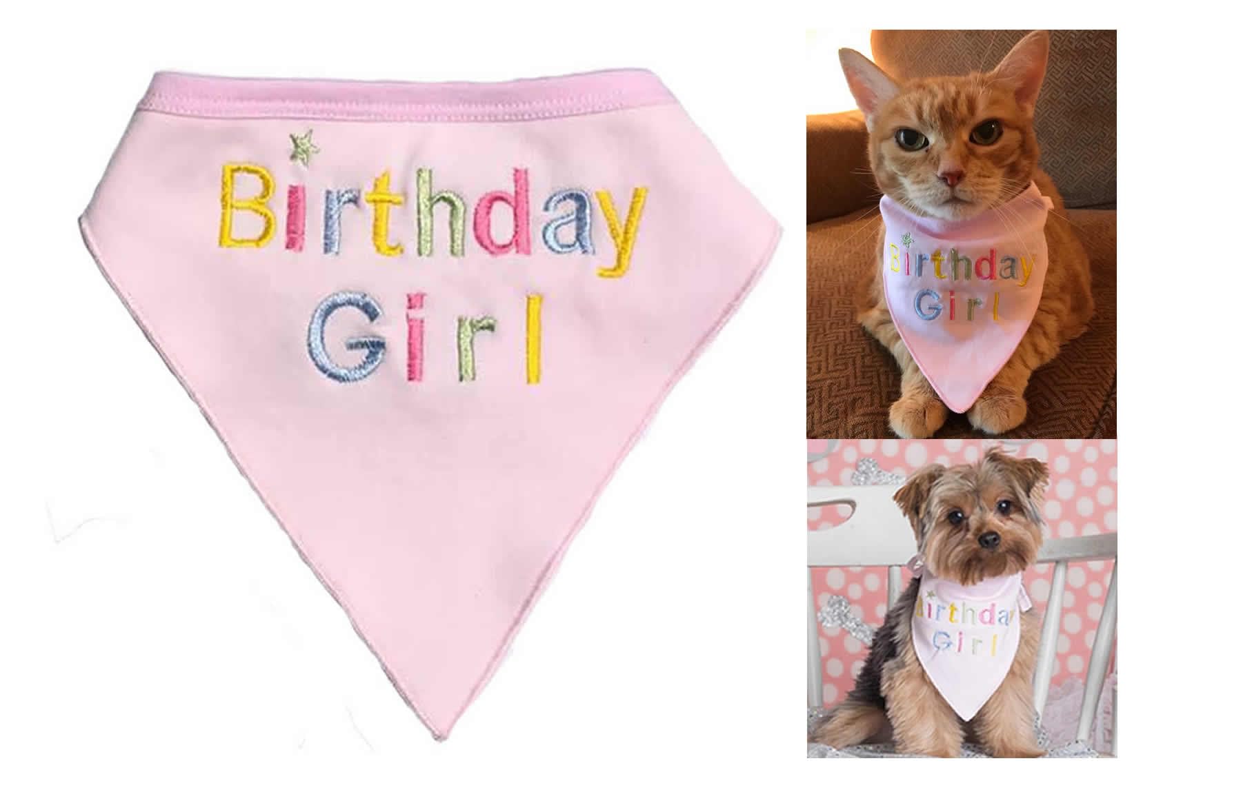 Alemon Dog Pet Birthday Bandana for Dogs, Pink