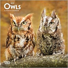 Owls 2019 7 x 7 Inch Monthly Mini Wall Calendar, Wildlife Animals Birds