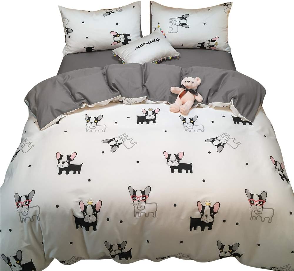 pigeon and bird pet shop