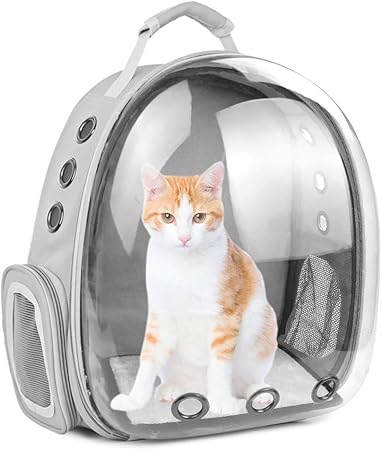 transparent cat bag