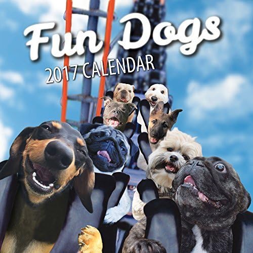 Fun Dogs 2017 Dog Wall Calendar