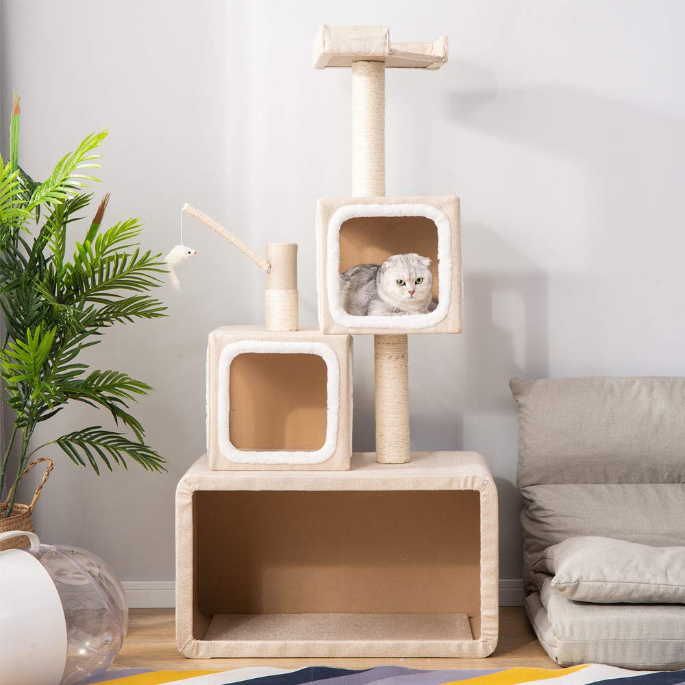 cat activity centre