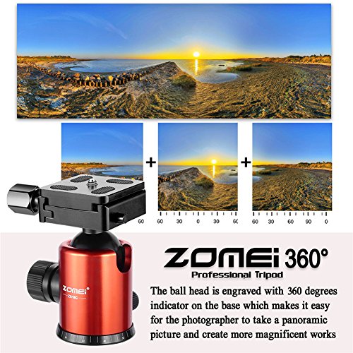 ZoMei Carbon Fiber Tripod,Camera Tripod for dslr,66.5" Camera Tripod Monopod with 360 Degree Ball Head,Load up to 33 pounds (orange)
