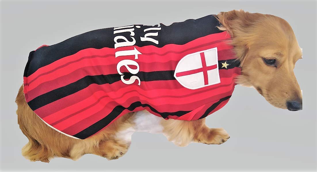 personalised dog coats