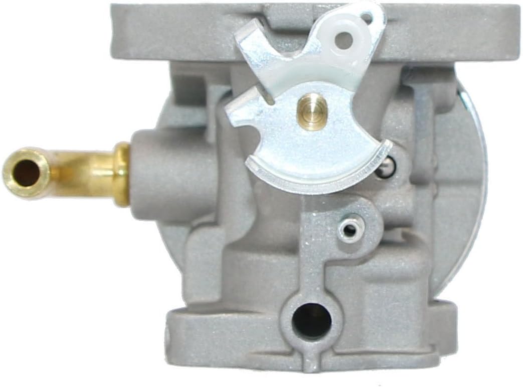 798653 Carburetor for Briggs & Stratton 696981 698860 694508 795069 698859 790180 790290 693865 697354 698474 791991 698810 698857 698478 694174 690046 693751 Craftsman 791077 Carburetor 591299 798650 : Garden & Outdoor